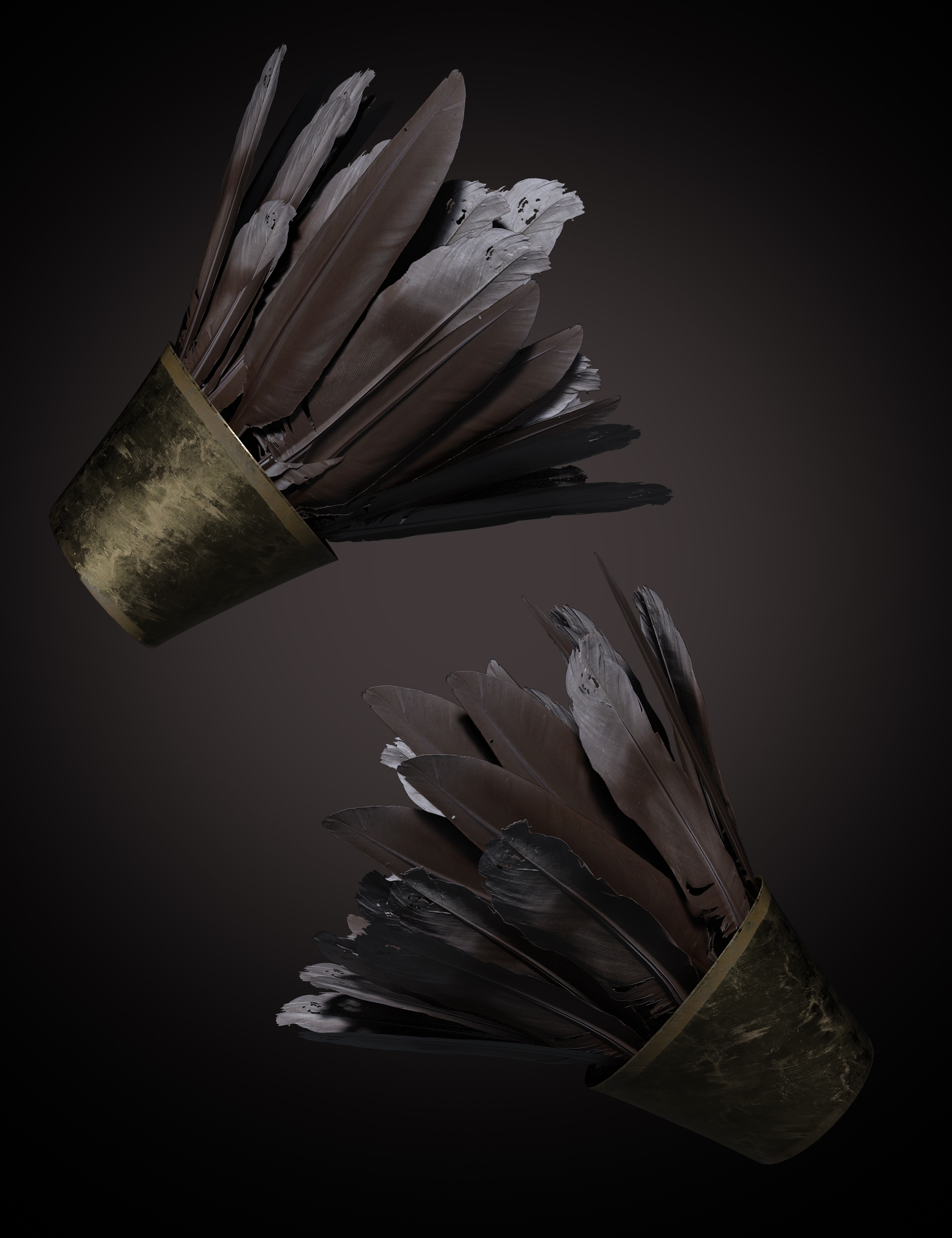 Ravyn Feathered Hands For Genesis And Females Daz D