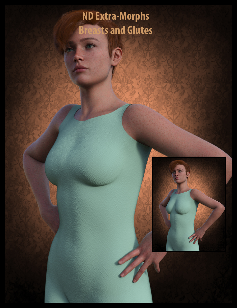 ND Extra Morphs Breasts And Glutes For Genesis 9 Daz 3D