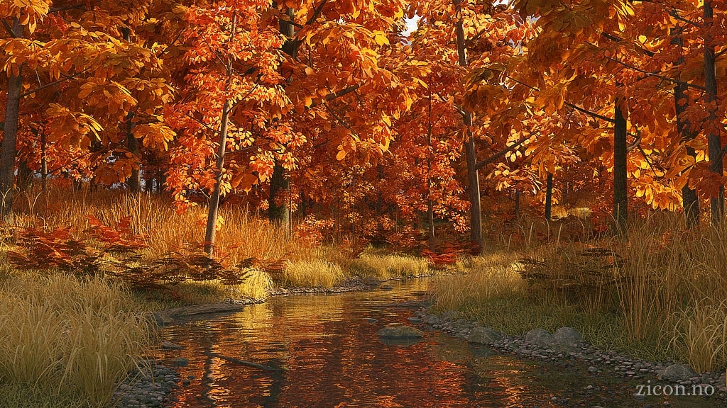 A placid stream moving through an autumnal forest.