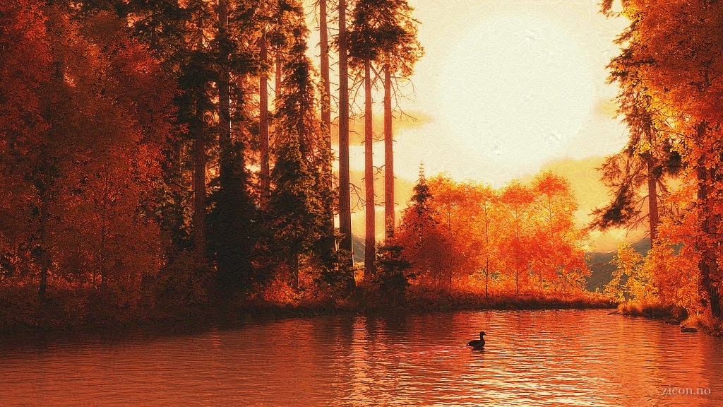 An autumnal landscape at sunset. A duck swims against a backdrop of golden trees.