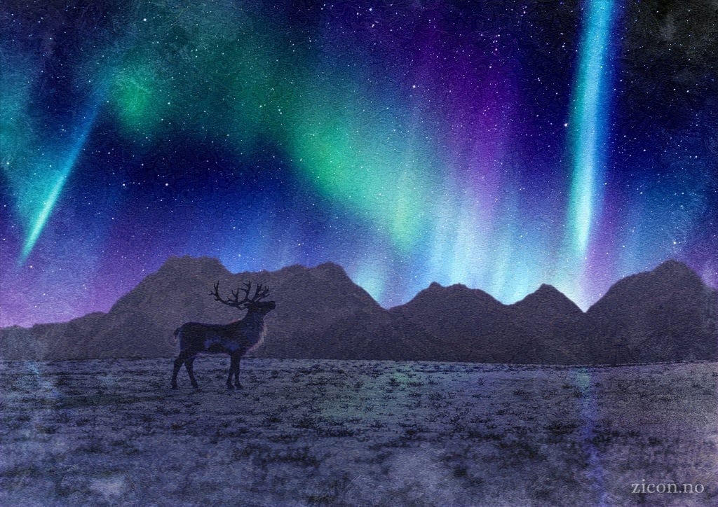 Realistic 3D render of a reindeer on a winter night. The reindeer is looking up at the sky, which is blazing with the bright colours of the northern light.