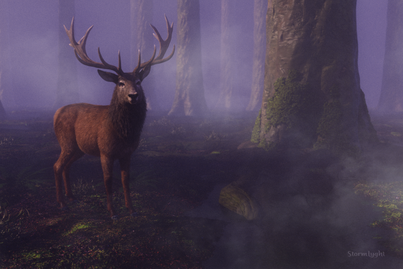 Red stag in a forest