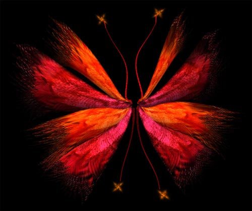 Sea Sirens for Faery Wings Deluxe Sea Sirens for Faery Wings Deluxe by: Lisa's Botanicals, 3D Models by Daz 3D