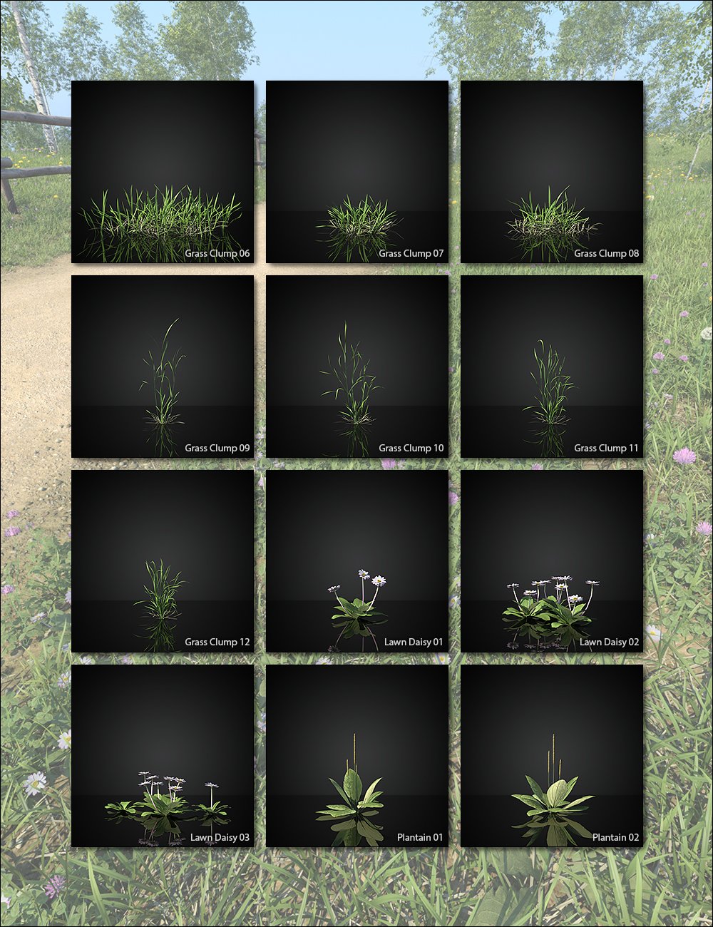 UltraScenery2 - Biomes Volume 1 | Daz 3D