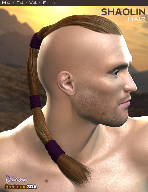 Shaolin Hair by: DianePredatron, 3D Models by Daz 3D