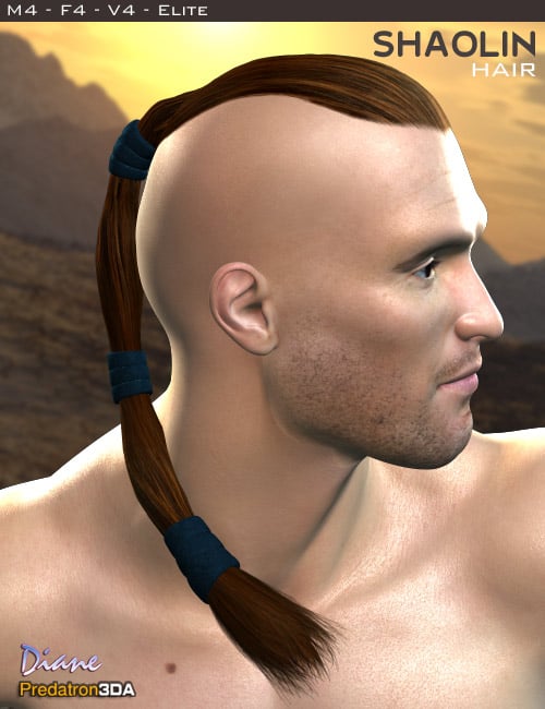 Shaolin Hair Shaolin Hair by: DianePredatron, 3D Models by Daz 3D