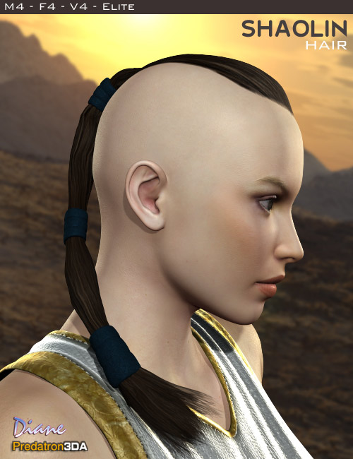 Shaolin Hair by: DianePredatron, 3D Models by Daz 3D