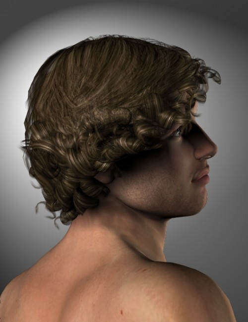 Danyel Hair Danyel Hair by: Neftis3D, 3D Models by Daz 3D