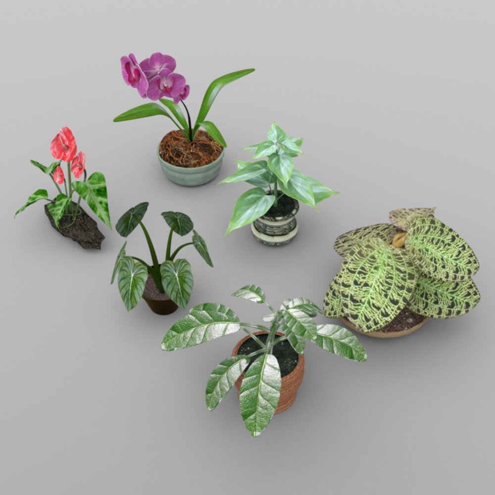 Plants Set 1 for DAZ Studio by: VanishingPoint, 3D Models by Daz 3D
