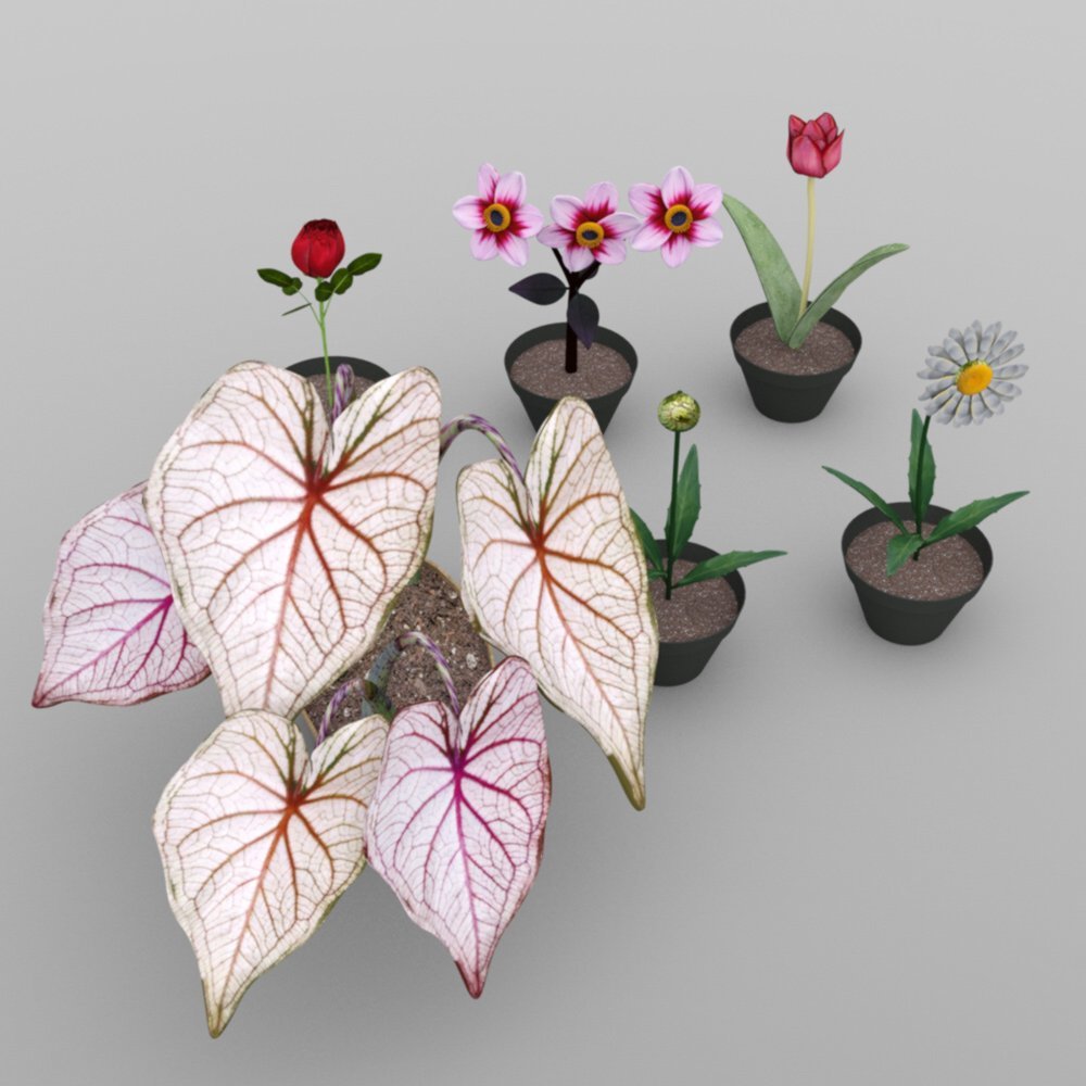 Plants Set 2 for DAZ Studio by: VanishingPoint, 3D Models by Daz 3D