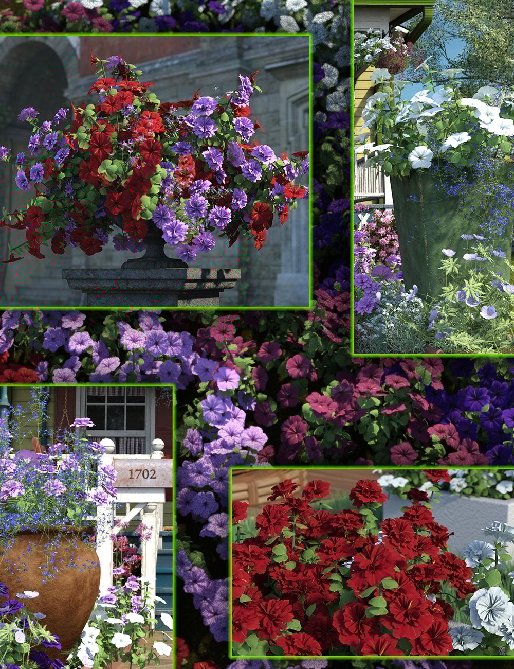 Cottage Garden Flowers - Petunias by: MartinJFrost, 3D Models by Daz 3D