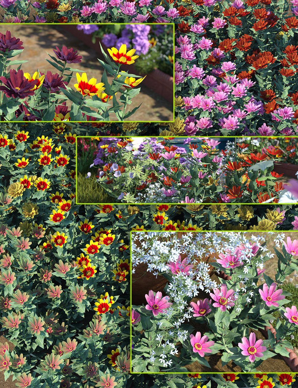 Cottage Garden Flowers - Zinnia by: MartinJFrost, 3D Models by Daz 3D