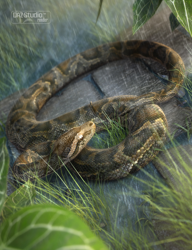 Morphing Python by: , 3D Models by Daz 3D