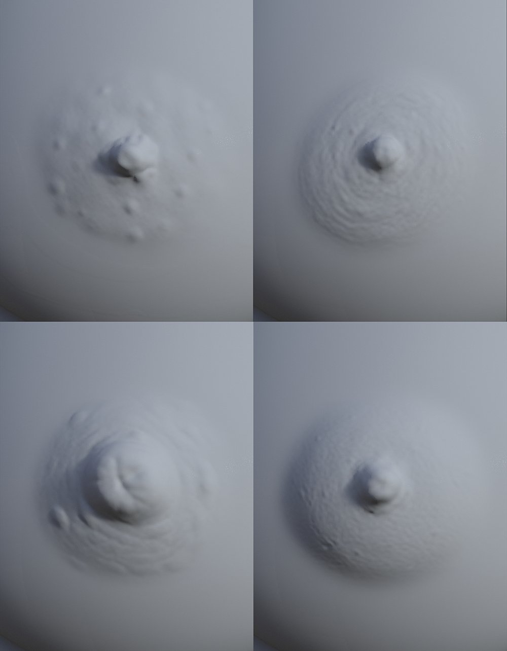 HD Nipples and Navels for Genesis 9 Feminine