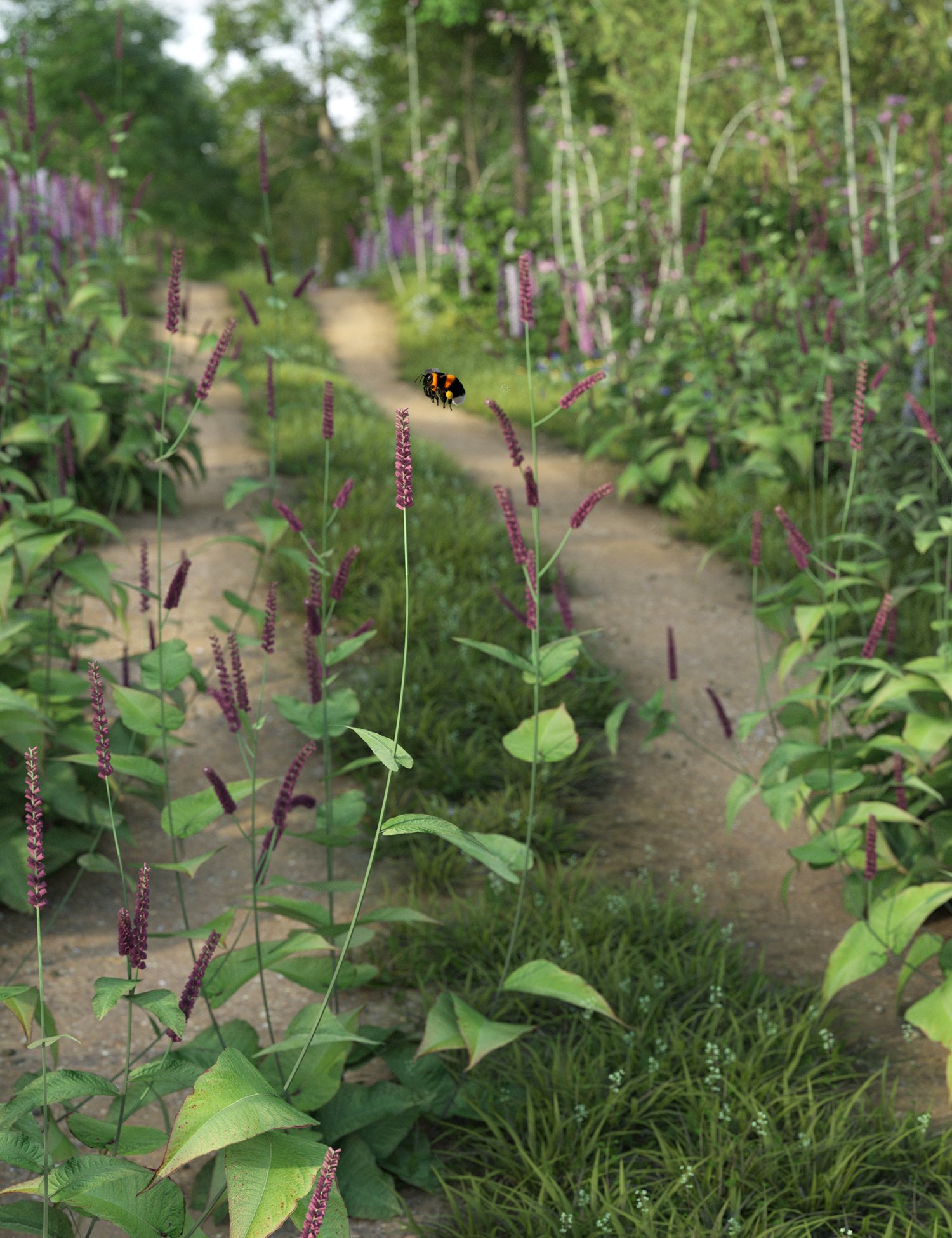 Cottage Garden Flowers Vol 3 - Persicaria