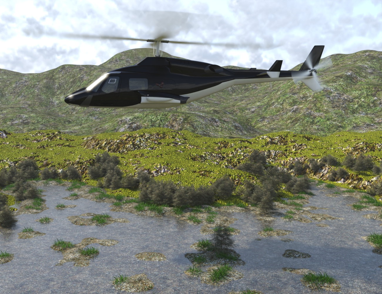 My eagle daz 3d