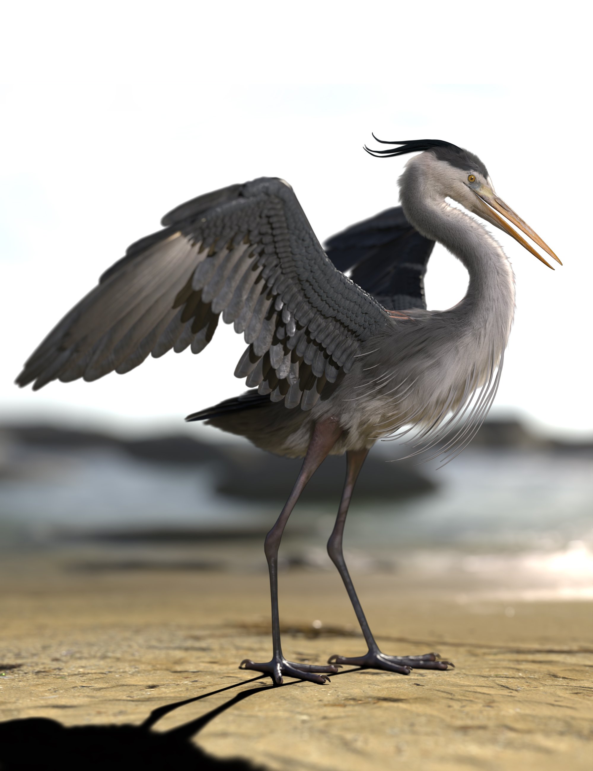 Heron by AM by: Alessandro_AM, 3D Models by Daz 3D