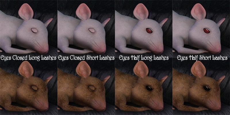 House Mouse Texture Pack by: Lisa's Botanicals, 3D Models by Daz 3D