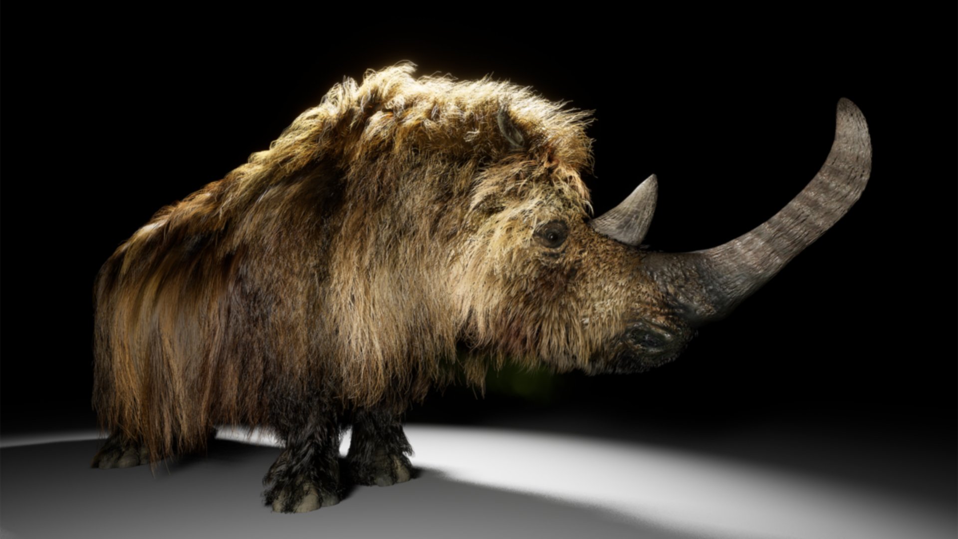 Woolly Rhino by AM