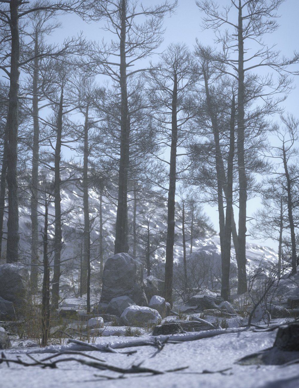 Winter Forest by: Stonemason, 3D Models by Daz 3D