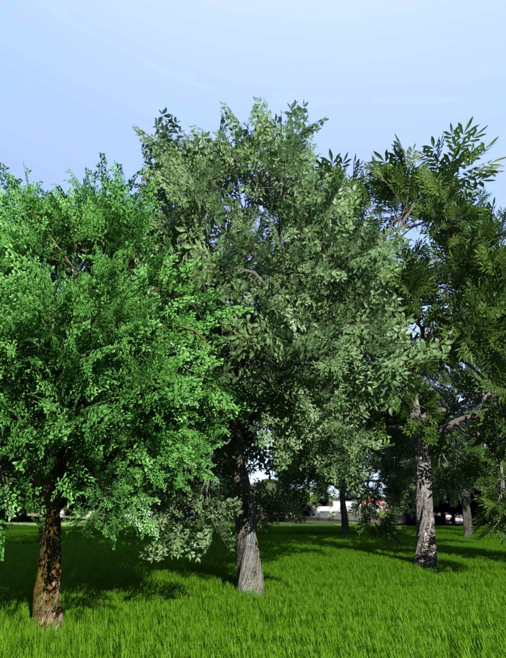 My Special Tree by: JeffersonAF, 3D Models by Daz 3D