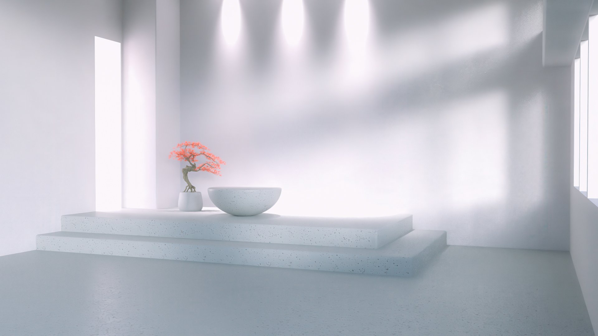 Simple Photoshoot Backdrop Bundle 01