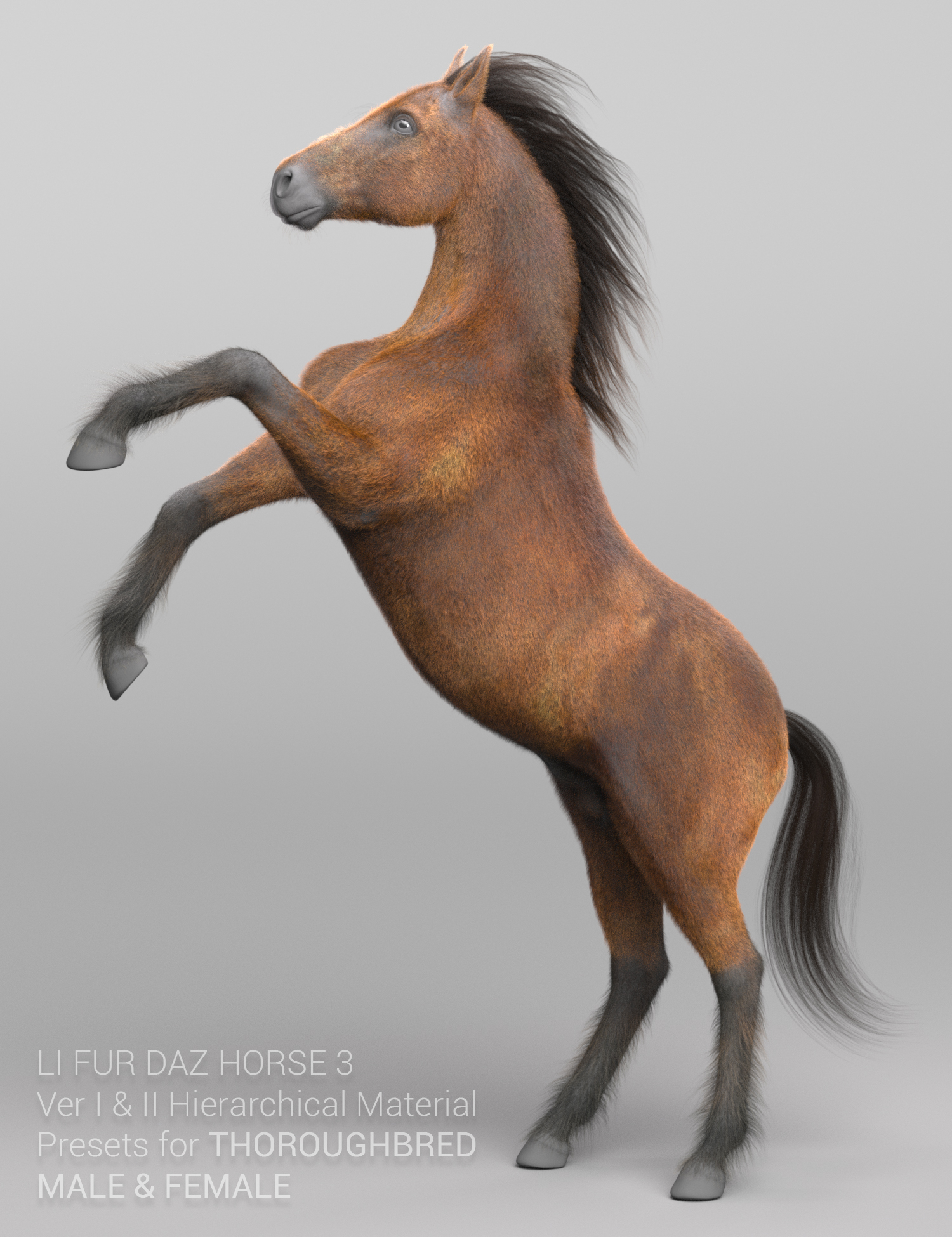 LI FUR for DAZ Horse 3 | Daz 3D