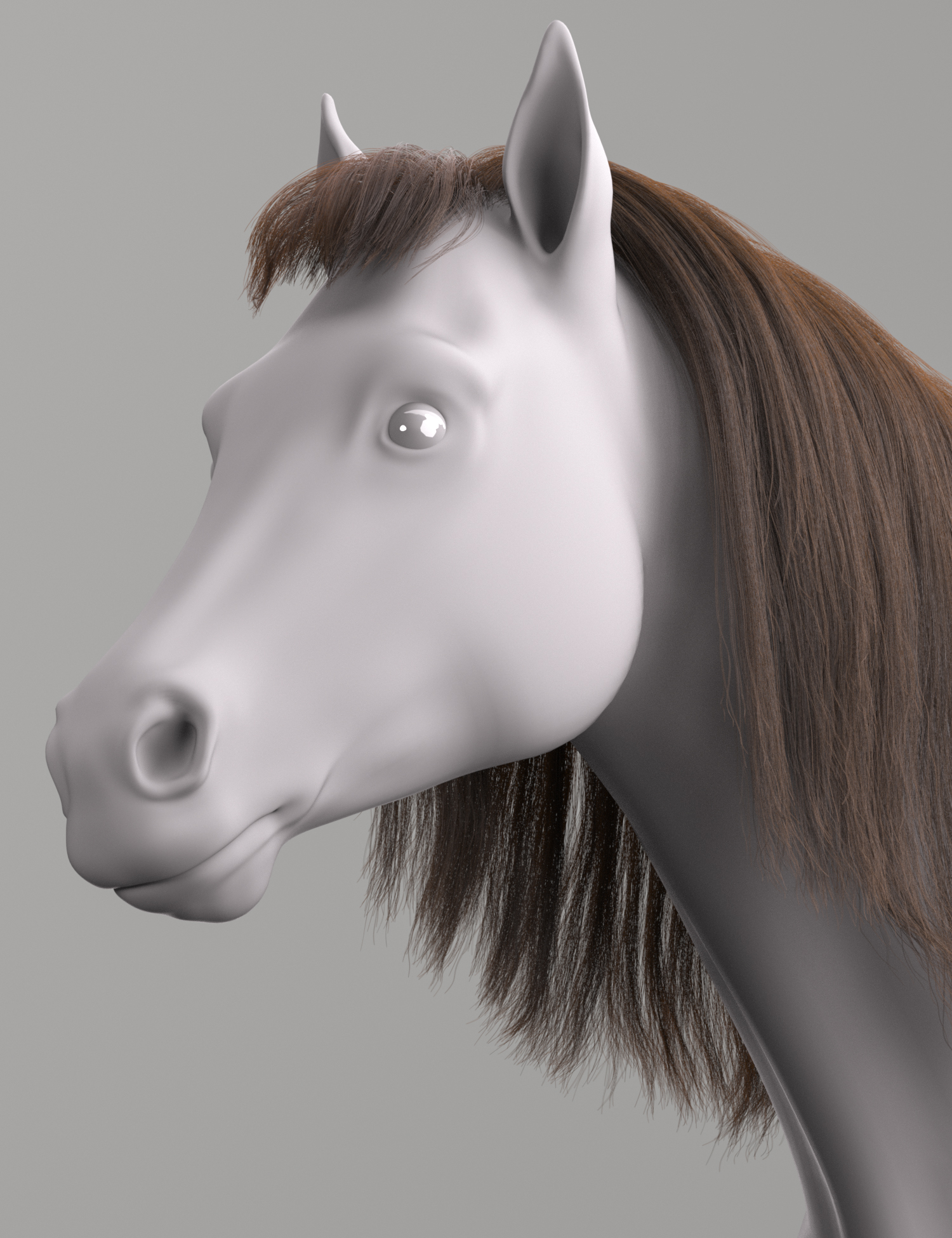 LI FUR for DAZ Horse 3 | Daz 3D
