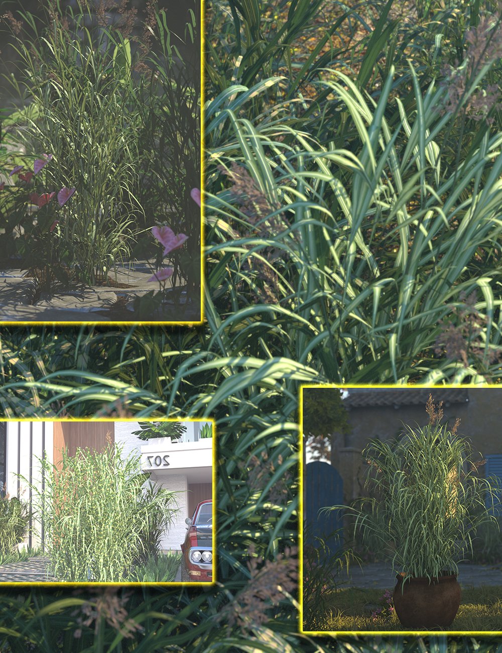 Ornamental Fountain Grasses by: MartinJFrost, 3D Models by Daz 3D