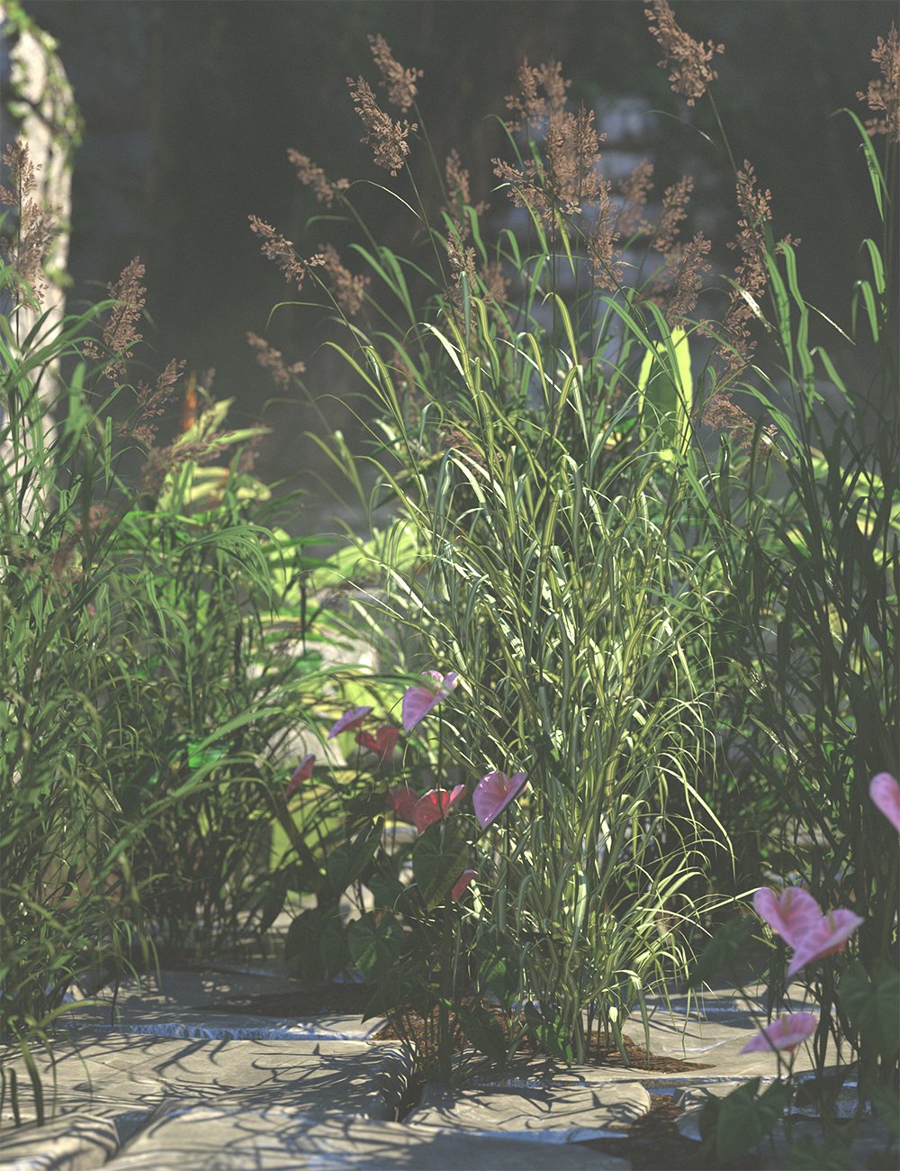 Ornamental Fountain Grasses