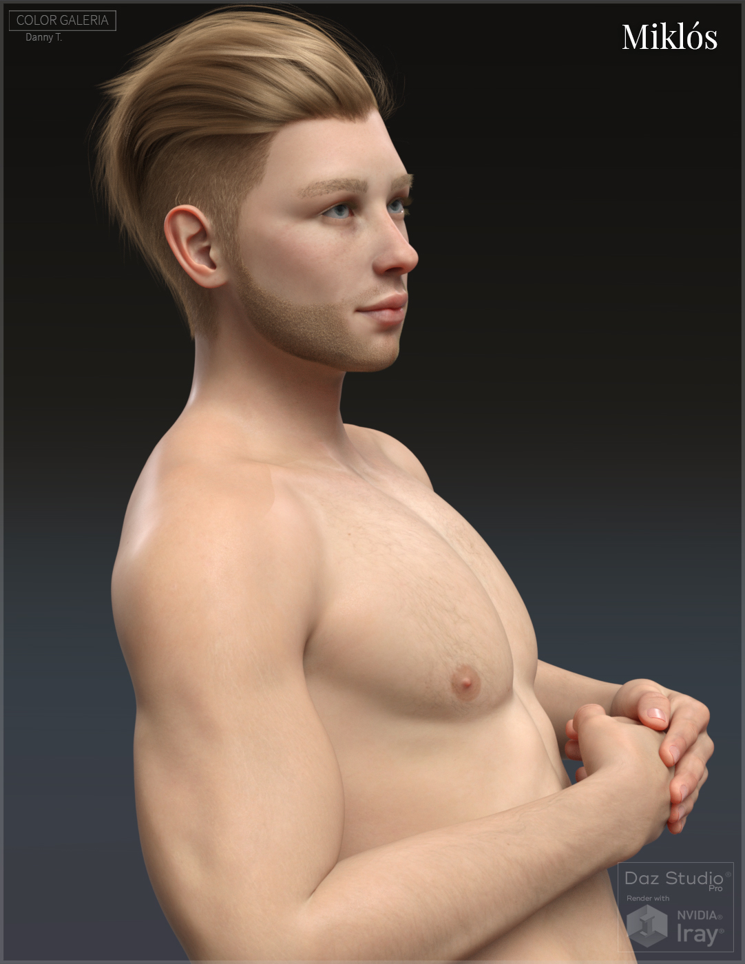 Miklos for Genesis 8 Male by: Color Galeria, 3D Models by Daz 3D