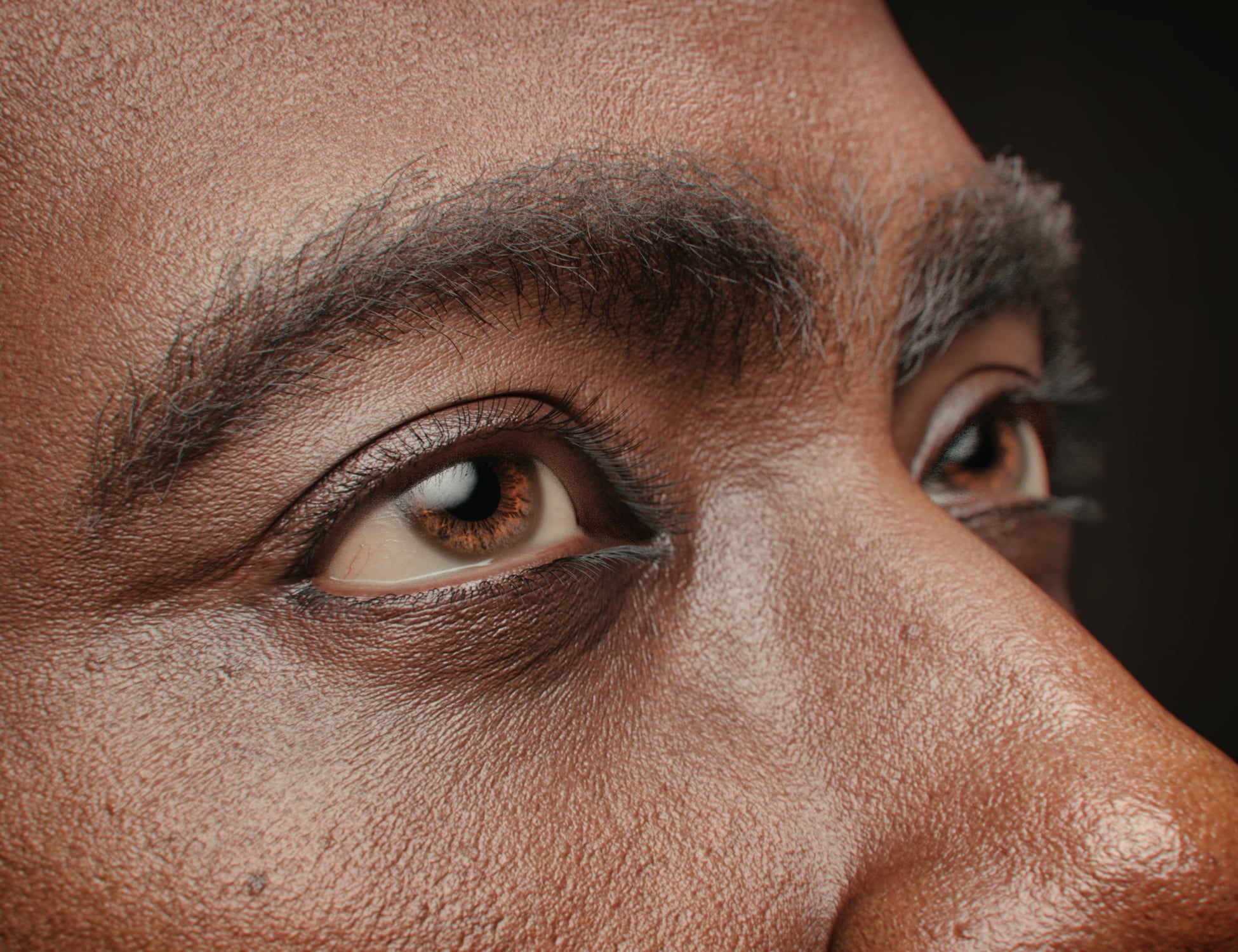 LI Flexi-Brows for Genesis 9 | Daz 3D
