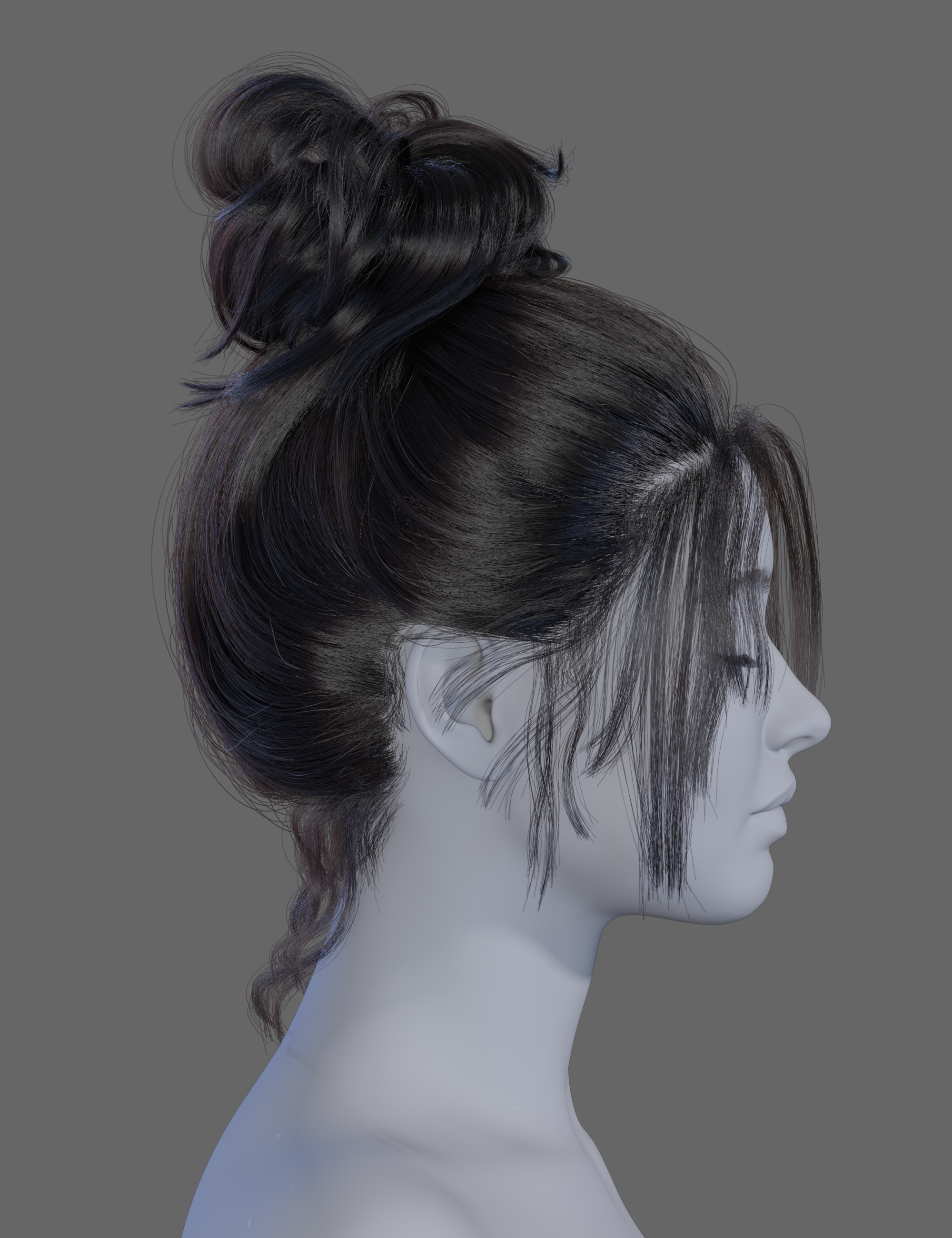 HS Everyday High Updo Hair For Genesis 9