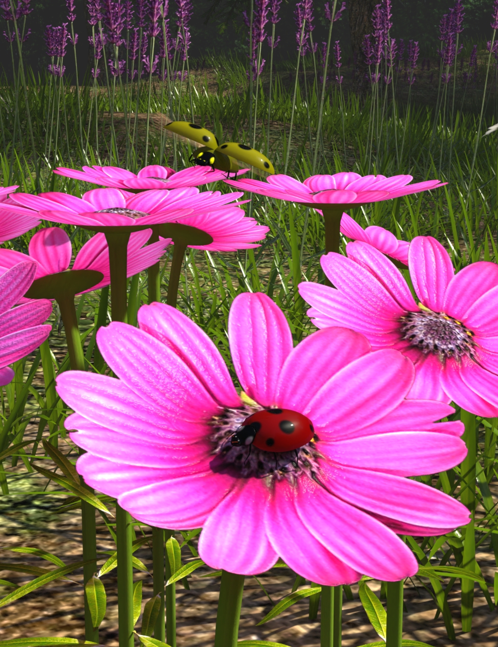 My Ladybird by: JeffersonAF, 3D Models by Daz 3D