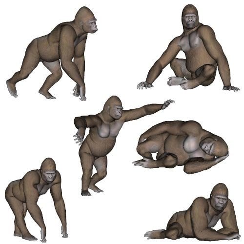 Gorilla Poses by: Digiport, 3D Models by Daz 3D