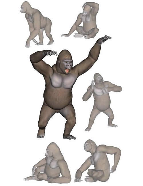 Gorilla Poses by: Digiport, 3D Models by Daz 3D