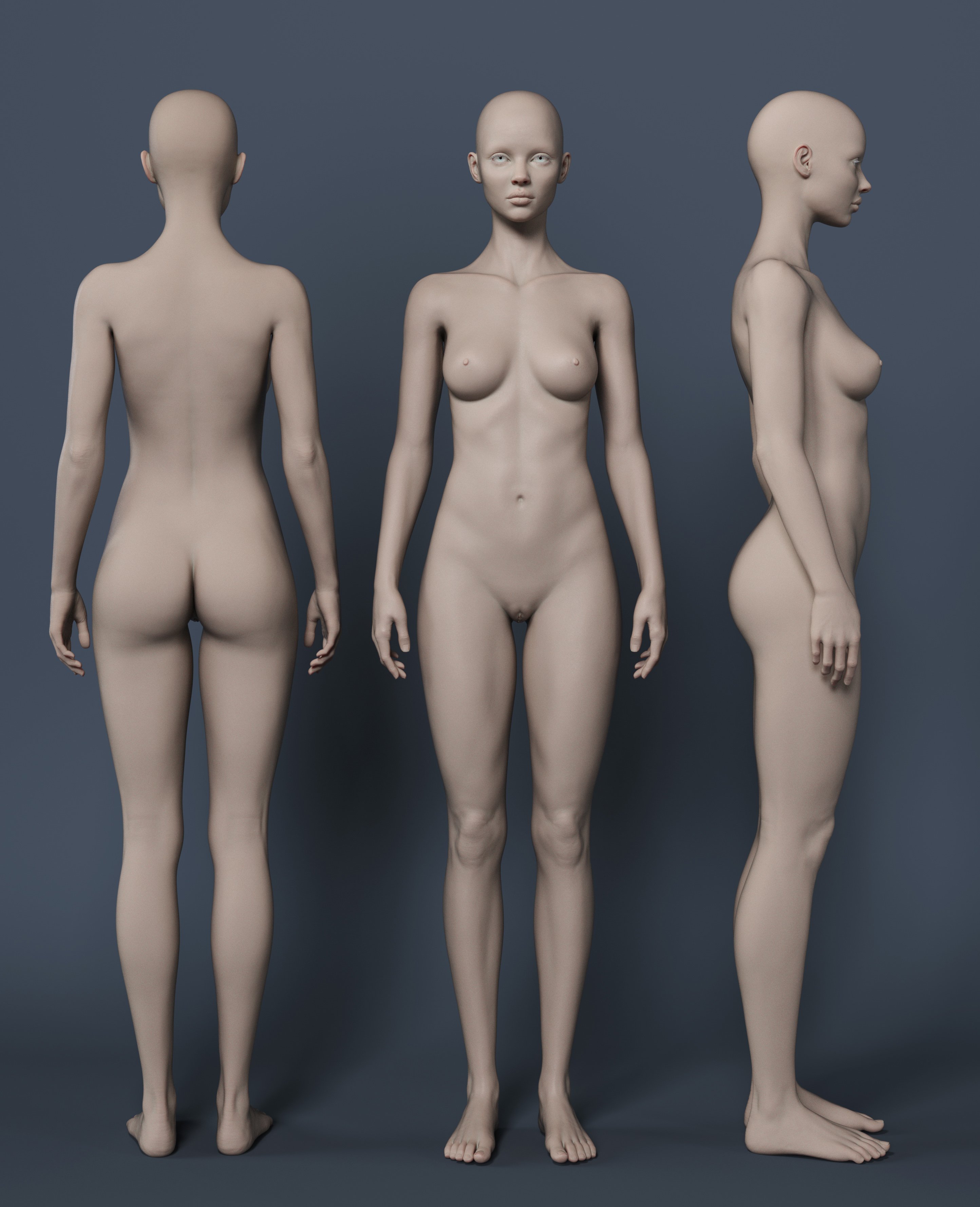 Eight HD Add-On and Anatomical Elements for Genesis 9 Feminine