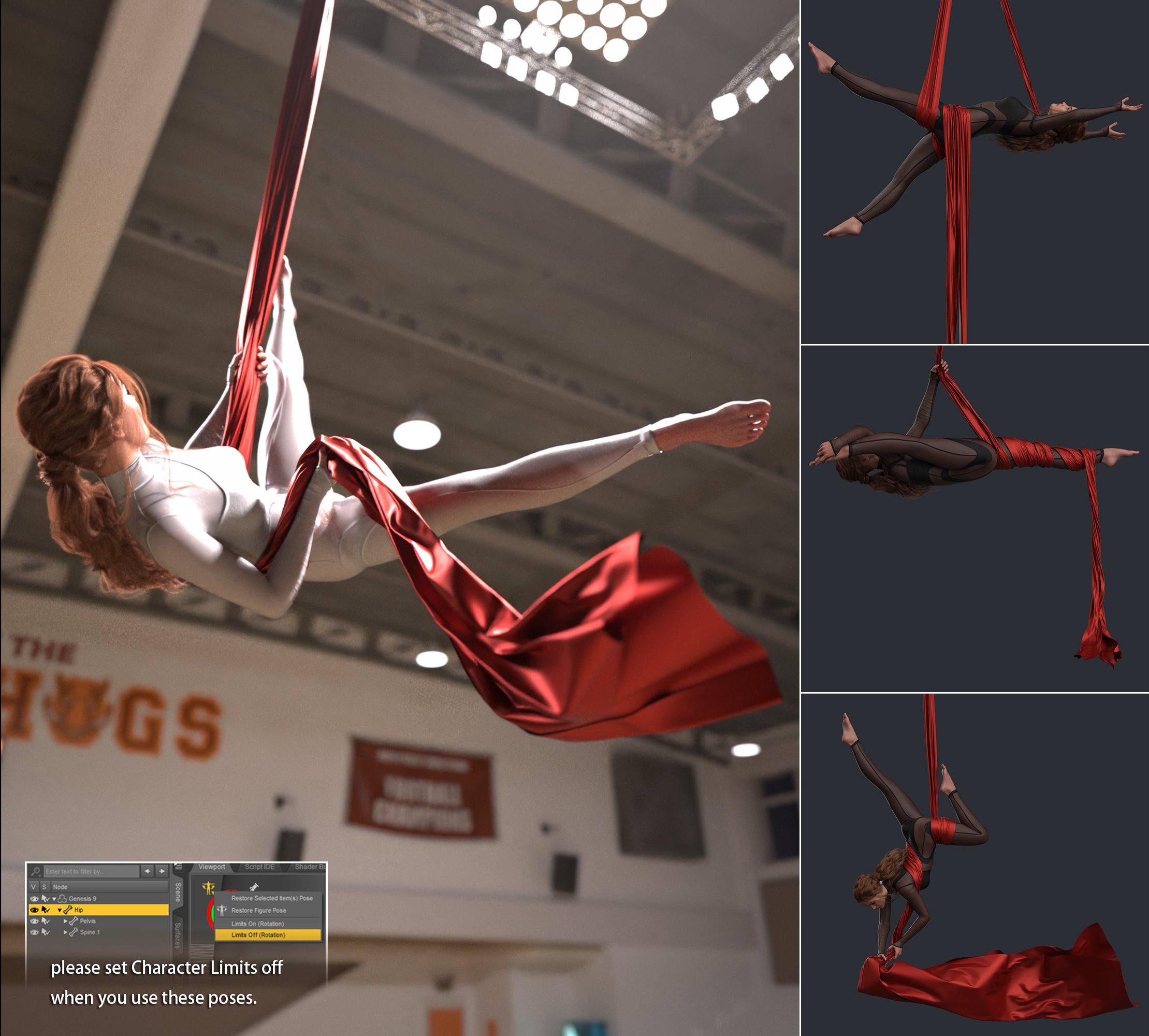 Aerial Dance: Silks Poses For Victoria 9