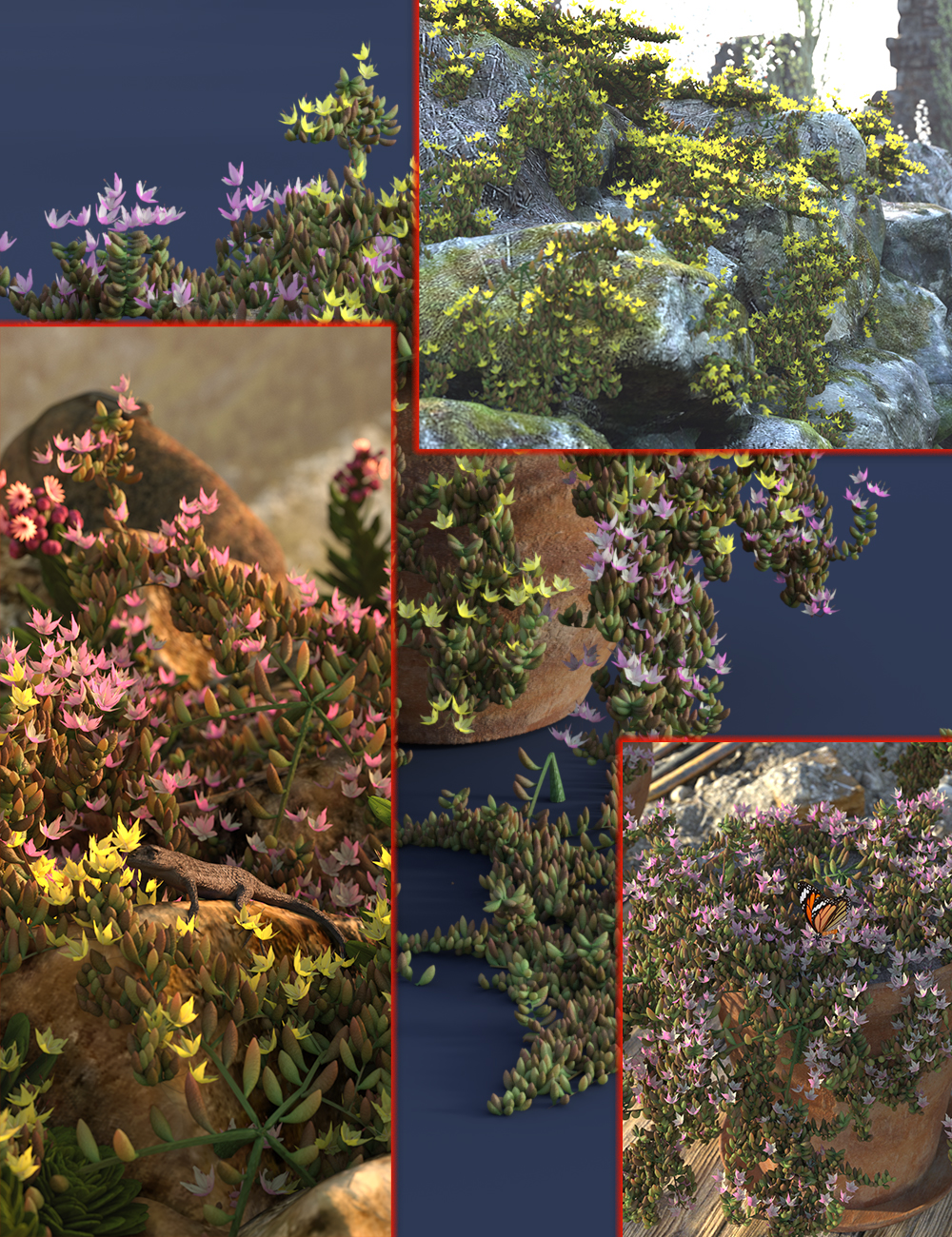 Wild Flowers - Flowering Stonecrops by: MartinJFrost, 3D Models by Daz 3D