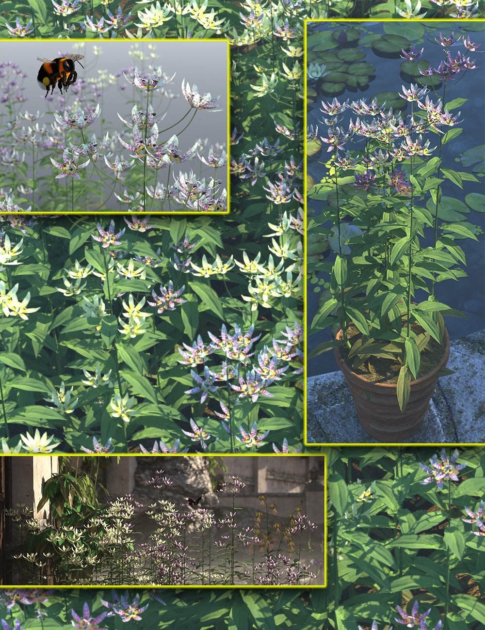 Cottage Garden Flowers - Toad Lily by: MartinJFrost, 3D Models by Daz 3D