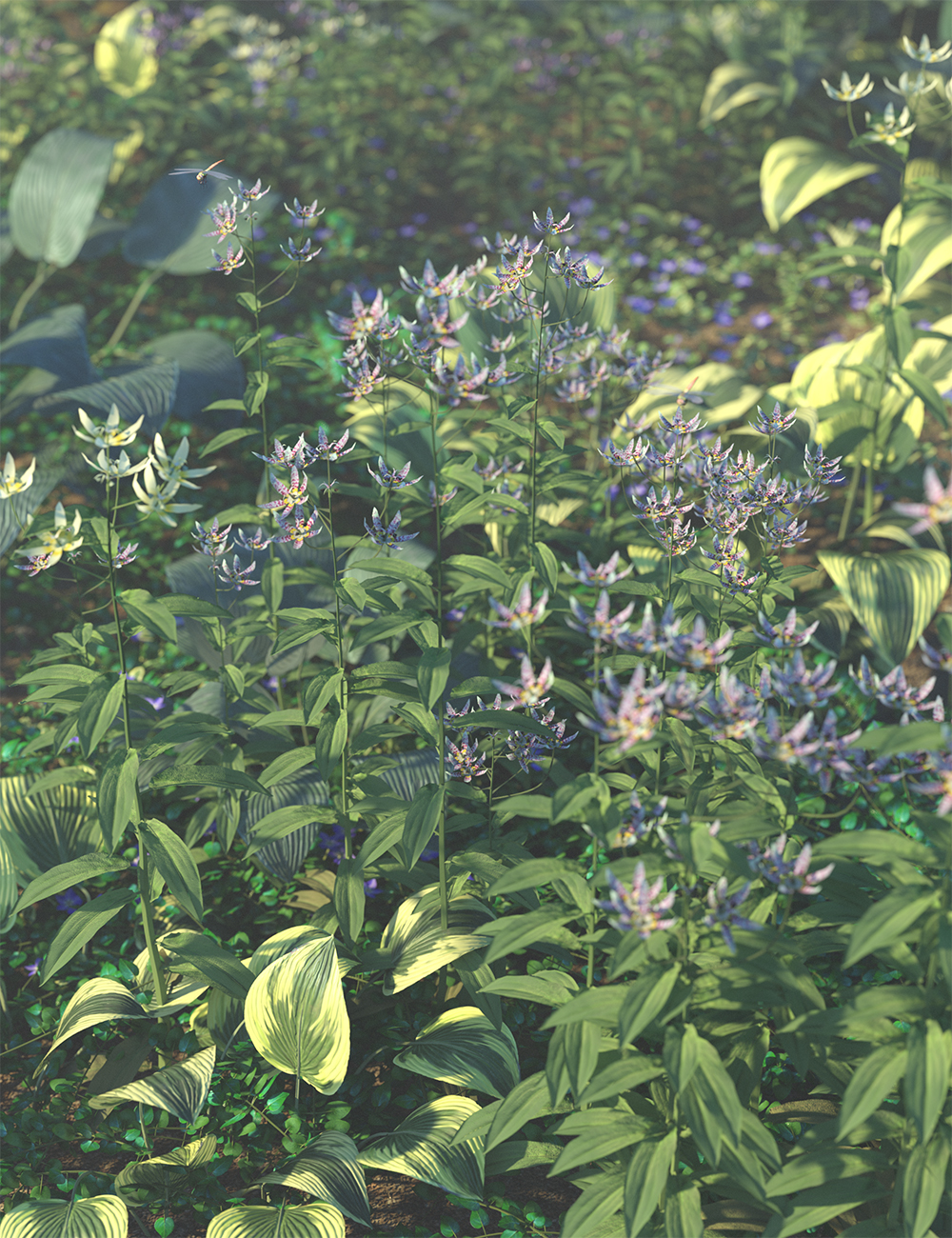 Cottage Garden Flowers - Toad Lily