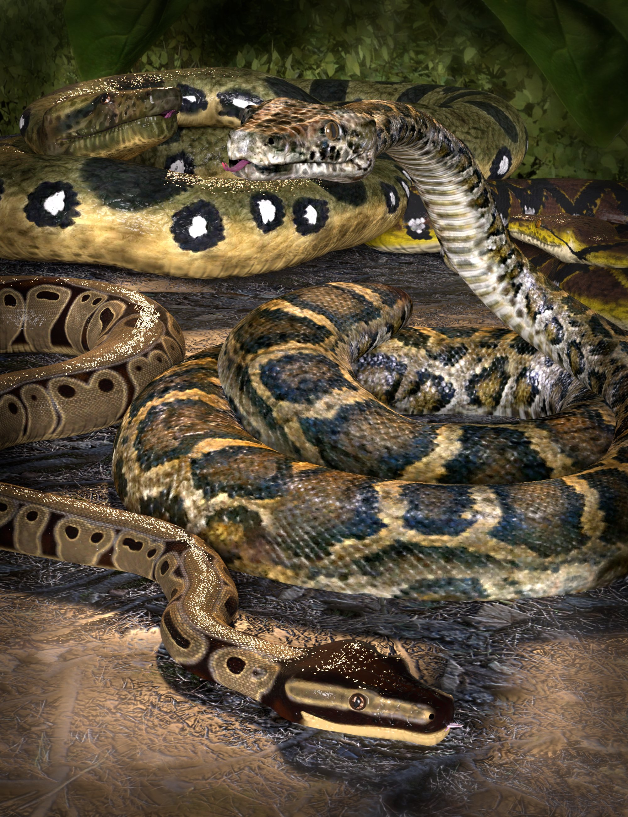 SY The Constrictor 2 by: Sickleyield, 3D Models by Daz 3D