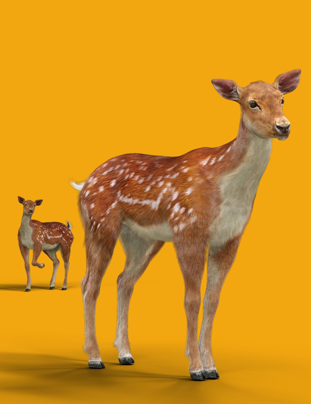 Deer for Daz Horse 3 by: Design Anvil, 3D Models by Daz 3D