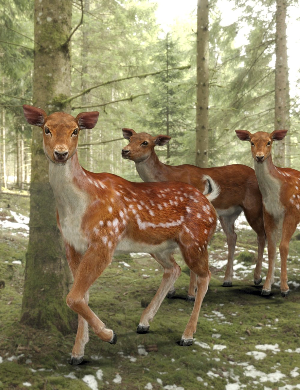Deer for Daz Horse 3