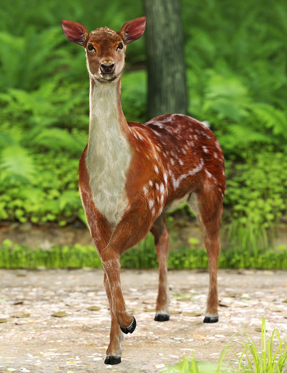 Deer Me Poses for DA Deer by: Ensary, 3D Models by Daz 3D