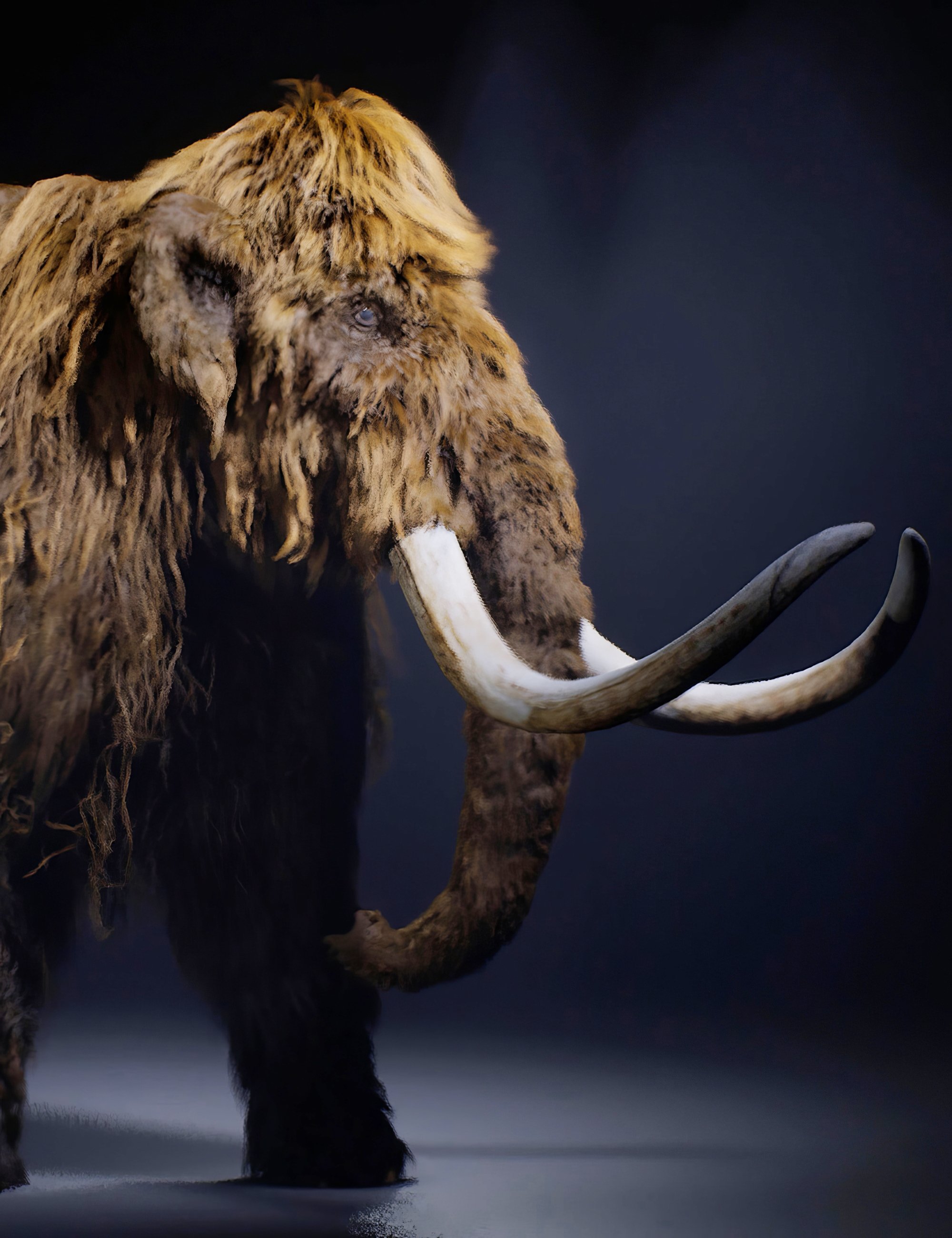Mammoth 2 by AM by: Alessandro_AM, 3D Models by Daz 3D
