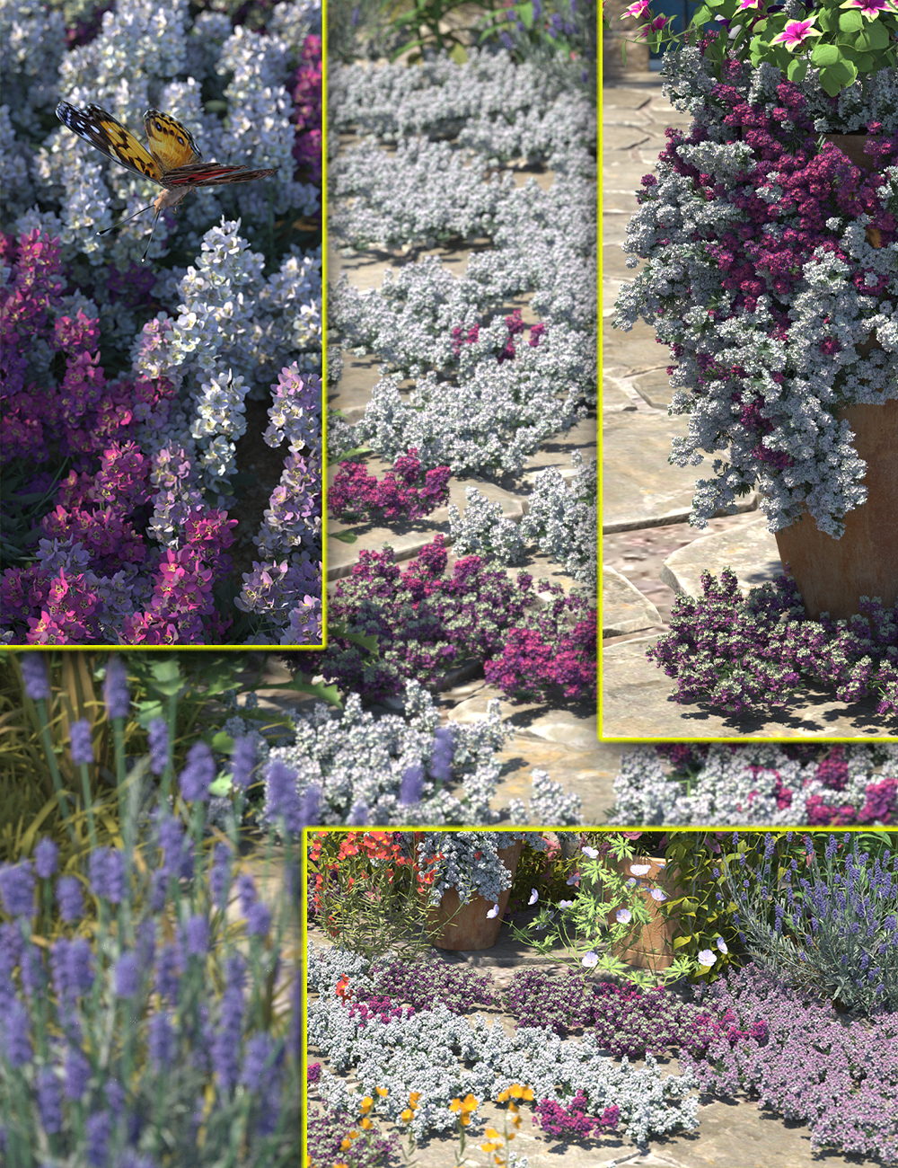 Cottage Garden Flowers - Alyssum by: MartinJFrost, 3D Models by Daz 3D