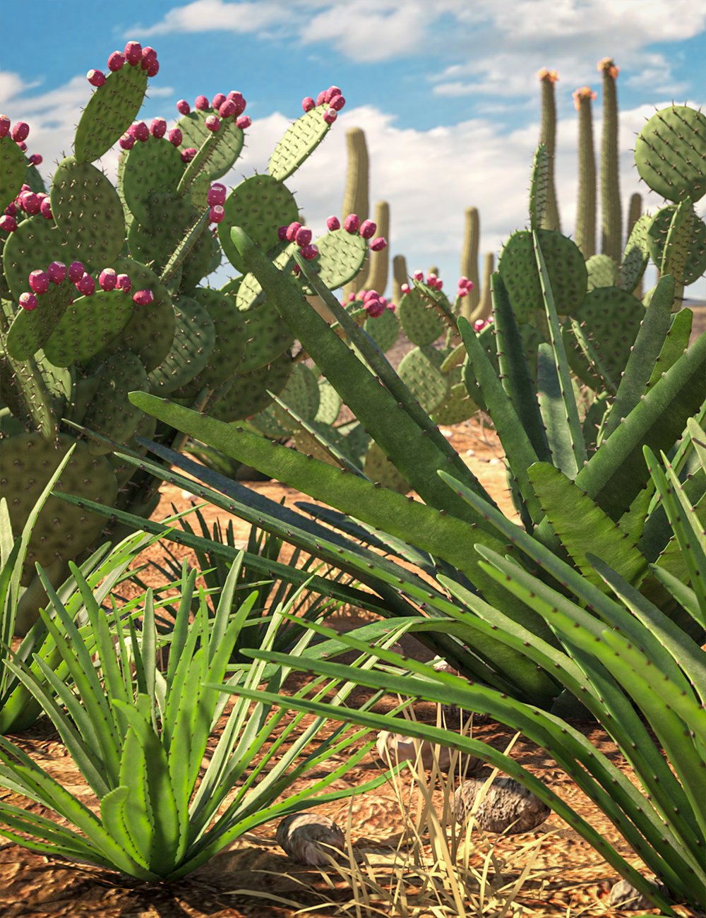 Predatron Agave and Prickly Pear Plants by: Predatron, 3D Models by Daz 3D
