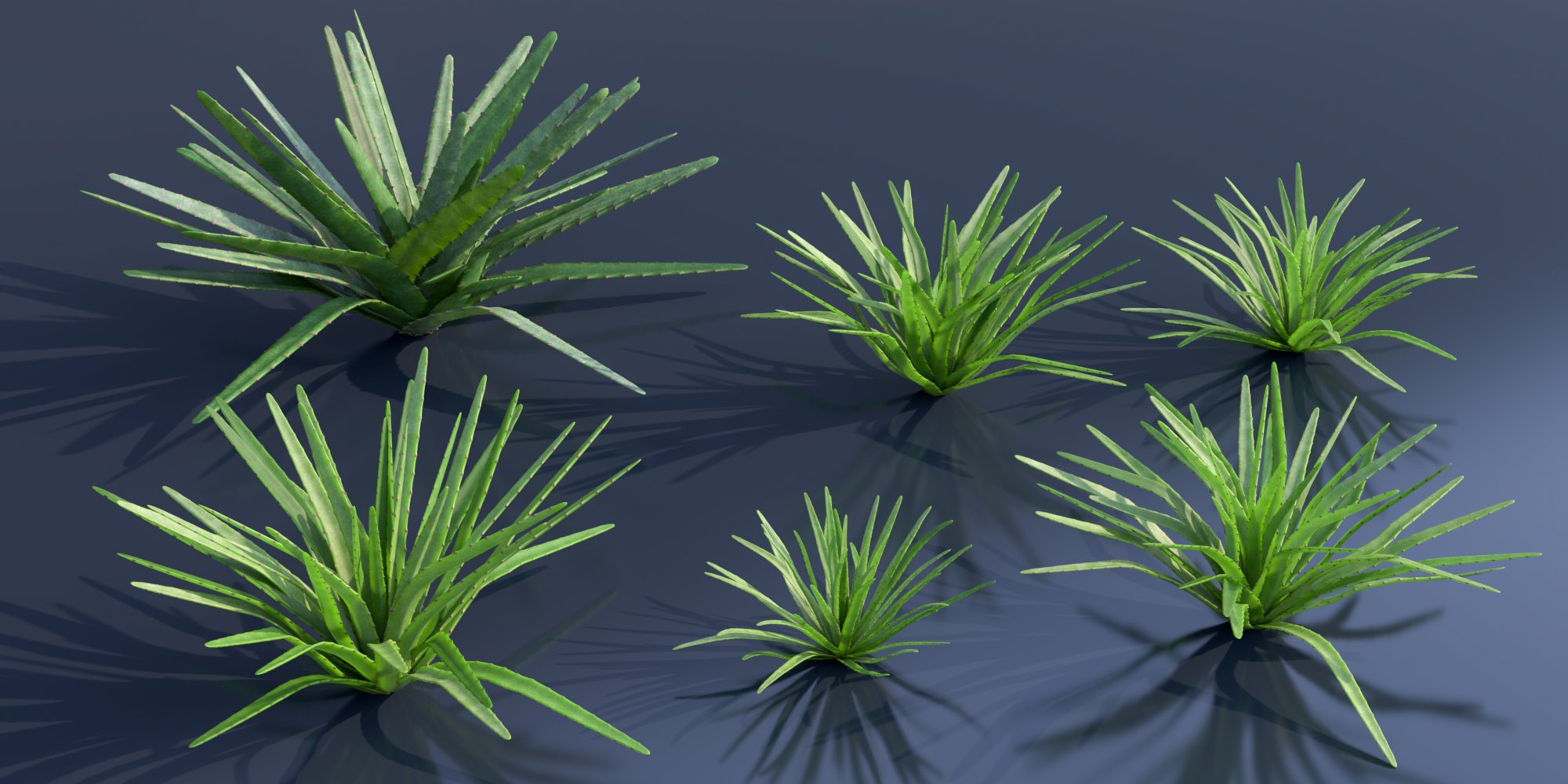 Predatron Agave and Prickly Pear Plants