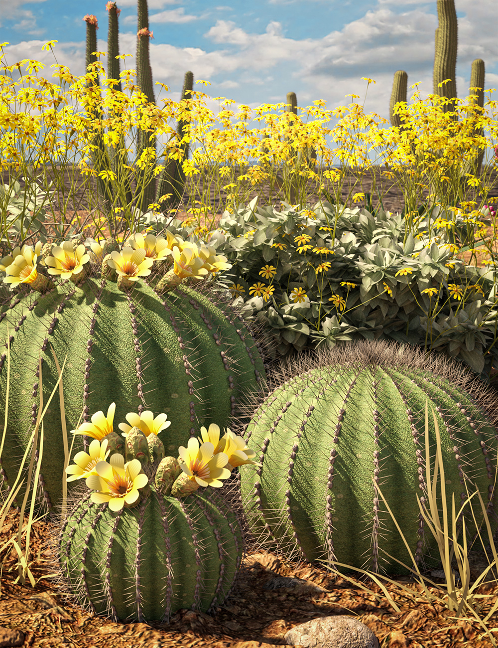 Predatron Barrel Cactus and Brittlebush Plants by: Predatron, 3D Models by Daz 3D